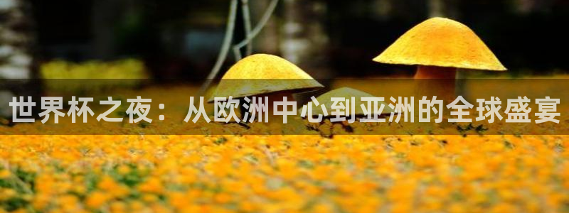 2026足球世界杯赛程：世界杯之夜：从欧洲中心到亚洲的全球盛宴
