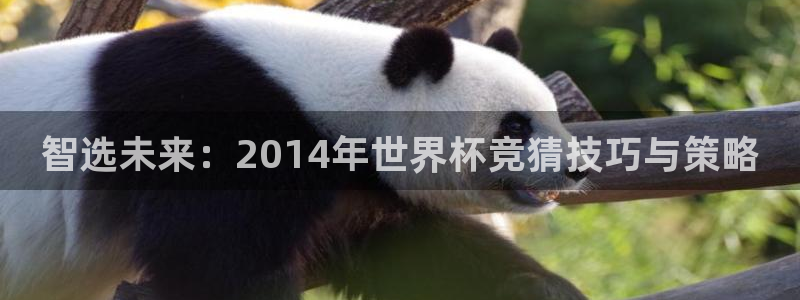 世界杯直播网：智选未来：2014年世界杯竞猜技巧与策略