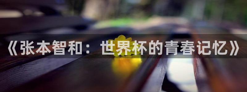 世预赛免费直播入口：《张本智和：世界杯的青春记忆》