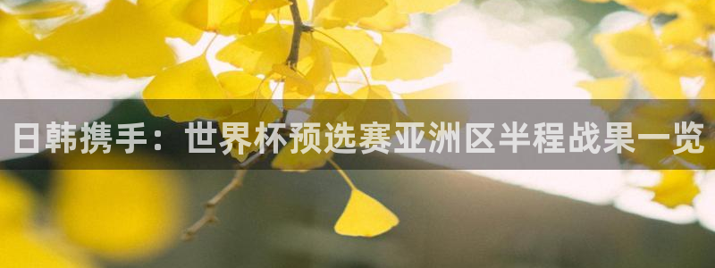 世界杯亚洲区预选赛赛程：日韩携手：世界杯预选赛亚洲区半程战果一览