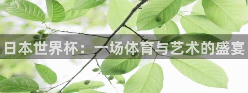 世界杯转播表：日本世界杯：一场体育与艺术的盛宴