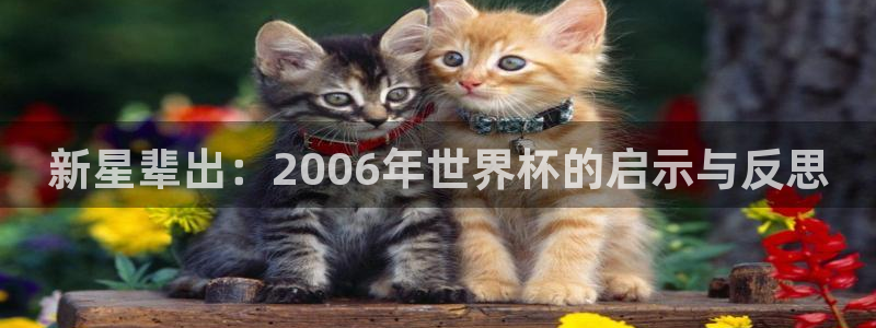 世界杯直播观看：新星辈出：2006年世界杯的启示与反思