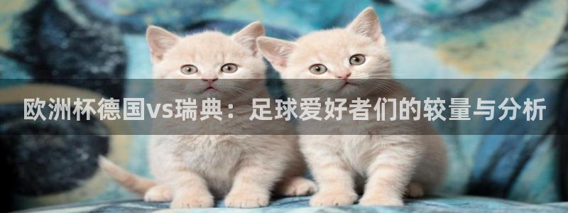 欧洲世界杯预选赛赛程：欧洲杯德国vs瑞典：足球爱好者们的较量与分析