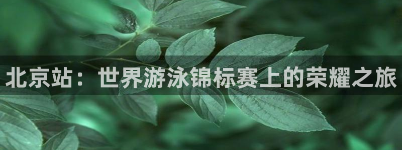 世界杯足球赛2026赛程时间：北京站：世界游泳锦标赛上的荣耀之旅