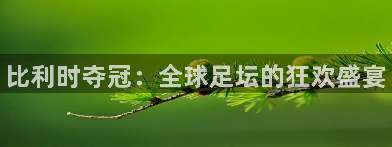 世界杯直播高清：比利时夺冠：全球足坛的狂欢盛宴