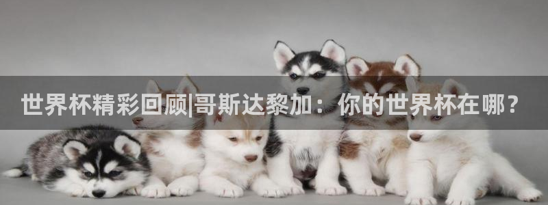 葡萄牙世界杯赛程：世界杯精彩回顾|哥斯达黎加：你的世界杯在哪？