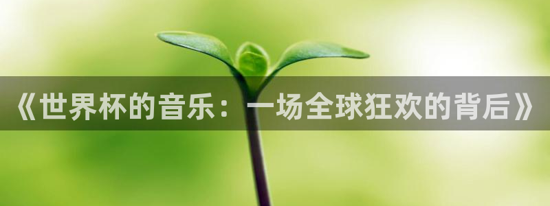 足球世界杯赛程：《世界杯的音乐：一场全球狂欢的背后》