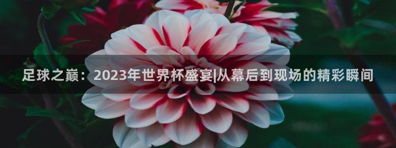 足球世界杯2026：足球之巅：2023年世界杯盛宴|从幕后到现场的精彩瞬间