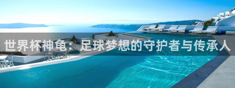 2026世界杯对阵图：世界杯神龟：足球梦想的守护者与传承人