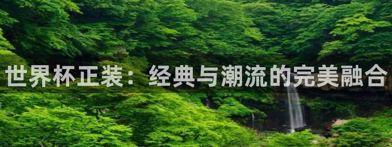 世界杯预选赛亚洲区积分榜：世界杯正装：经典与潮流的完美融合