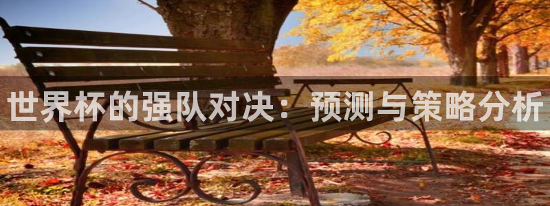 足球世预赛：世界杯的强队对决：预测与策略分析