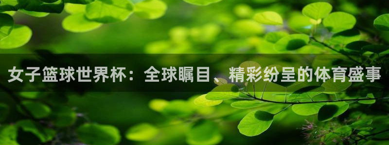 世界杯2026预选赛：女子篮球世界杯：全球瞩目、精彩纷呈的体育盛事