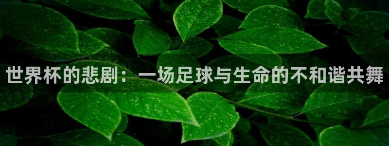 2026世界杯赛程：世界杯的悲剧：一场足球与生命的不和谐共舞
